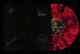 AFI The Blood Album AUTOGRAPHED Red/Black Vinyl Record Amoeba Signing
