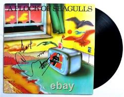 Mike Score Signed Autographed Record Album Cover A Flock of Seagulls BAS BJ71369
