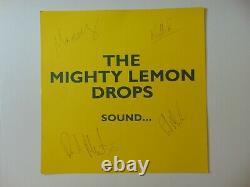 The Mighty Lemon Drops Group Signed Album Flat Todd Mueller COA