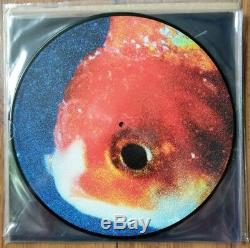 Vince Staples AUTOGRAPHED BIG FISH THEORY Ltd Edt Numbered Picture Disc Vinyl